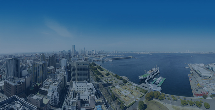 スポーツチームへのスポンサー活動